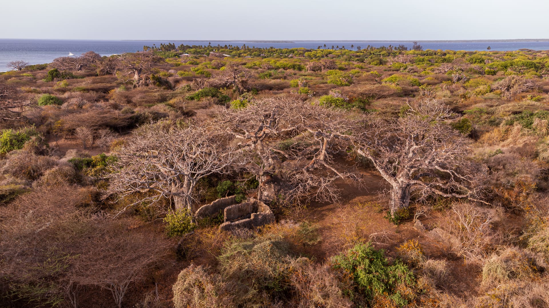 Boni Forest Corridor